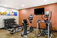 コンフォート イン アット バッファロー ビル ビレッジ リゾート - ジム