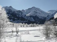 Am Schilf Hotels in Lauenen