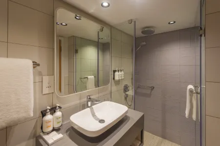 Holiday Inn Lusaka Отели в г. Лусака