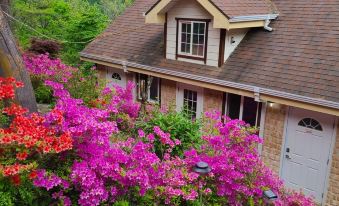 Wonju Sarichi Land in Forest Pension