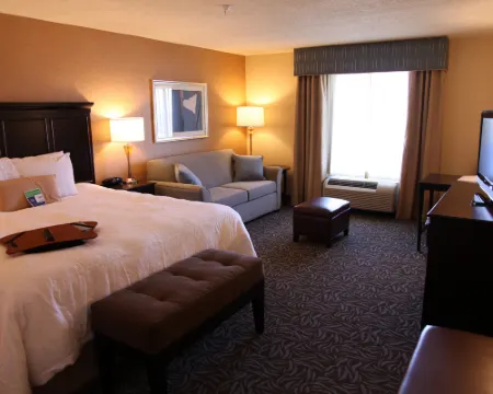 Hampton Inn & Suites by Hilton Carlsbad Hotels in Eddy County