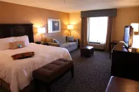 Hampton Inn & Suites by Hilton Carlsbad - parking