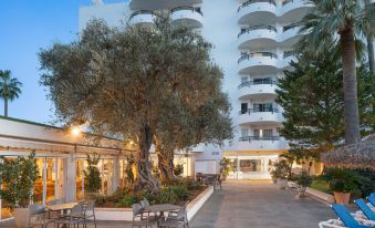 Alcudia Beach Apartments