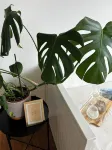 Apartment Emilio - Small apartment with great lake and alpine views