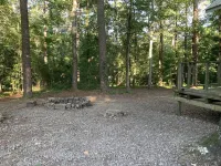 Quaint cabin in the heart of the Ozark Mountains.