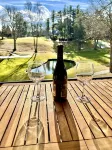 NEW Papa's Place on 1st hole Linville Land Harbor Pet Friendly - 3-Star
