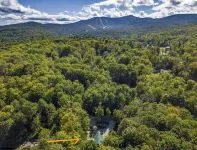 4BR/3BA ★ hot tub, sauna, billiards, A/C, & grill! - Hytter