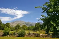 T2 ALIVU in a Corsican villa, comfortable, quiet, with swimming pool.