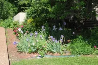 Spacious, beautifully designed, spectacular views, salt water pool.