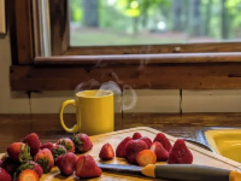 HOT TUB! Nature Delight! 2 Acre Cabin Hot Tub- Creek & Dog Friendly Fast WIFI! Hotels in Laurel Fork