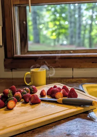 HOT TUB! Nature Delight! 2 Acre Cabin Hot Tub- Creek & Dog Friendly Fast WIFI!