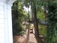 Rustic forest cabin - perfect for solo travelers who cherish privacy and quiet.