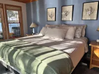 Edgewater at Long Lake - Lakeside Jacuzzi, Fireplace, Fenced in Yard for Pets