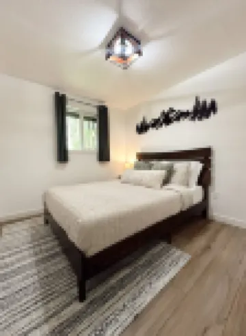 Among the Trees in Ashford, WA - Minutes to Paradise Mt. Rainier entrance