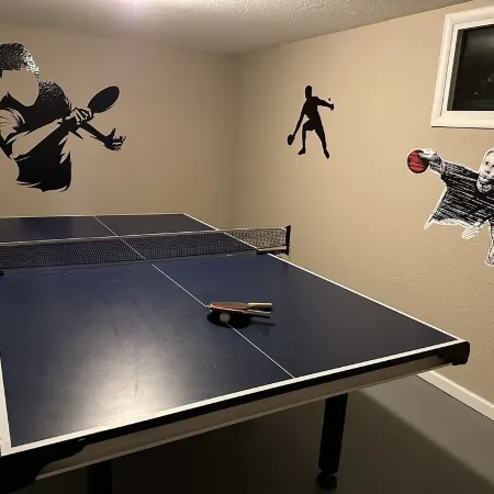 Newly Renovated ski themed home with brand new  furniture