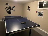 Newly Renovated ski themed home with brand new  furniture