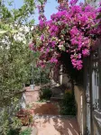 APARTMENT IN DORGALI, COMFORT AND RELAX GARDEN