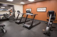Hampton Inn by Hilton Elliot Lake, Ontario - Kuntosalit