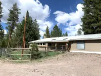 Cozy Bear Den - private house with fenced yard!