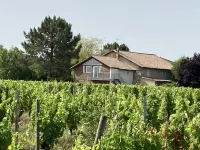Domaine le Mathelin - Studio Montravel - Un Séjour Dans les Vignobles