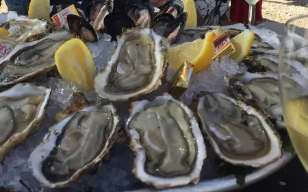 Charming garden house with terrasse and pool