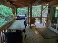 Newly built cabin in cozy wooded setting