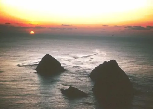 Eden's Garden Cottage, at the Oregon Islands Wildlife Refuge: Internet, piano