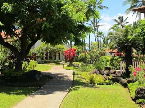 Premier Oceanview End Unit ...Total A/C... Private Locationfree Late Check Out