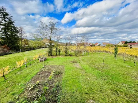 Gîte Cosy Entre Vignes et Vergers
