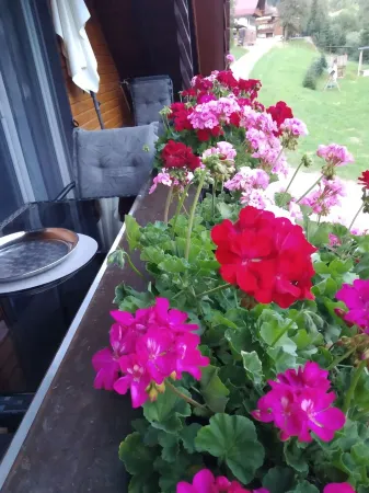 Vacation apartment Sonnenblick Отели в г. Оберхармерсбах