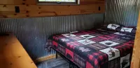 Tiny cabin in towering pines, with lake view. Pets accepted!