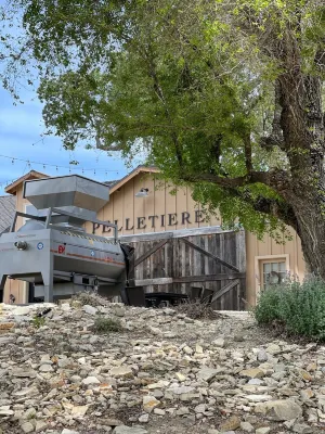 Pelletiere Estate’s Eastwood Casita -Romantic, Bright, Happy-Fast WIFI-Views! ☮️💚