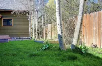 Downtown Steamboat Chalet