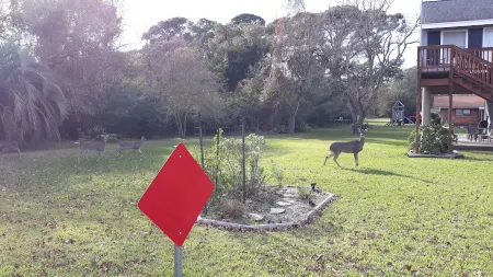 Situated near NASA and Kemah Boardwalk, you can enjoy your own PRIVATE BEACH