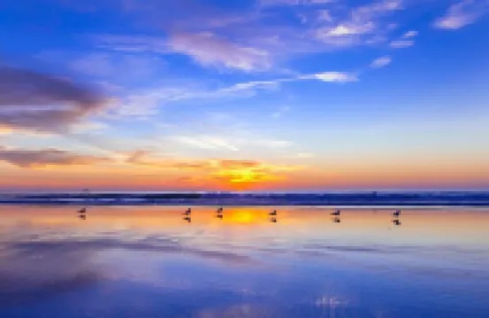 Cozy Beach Cottage, Walk to Everything! 2bed/1bath