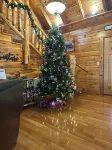 Alpine Adventure - Mountian home close to attractions!