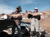 The Perfect 'Get Away' Beautifully Crafted Log Cabin On Private Reservoir