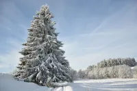 High quality holiday home with WiFi, fireplace & underfloor heating Hotels in Guntersberge