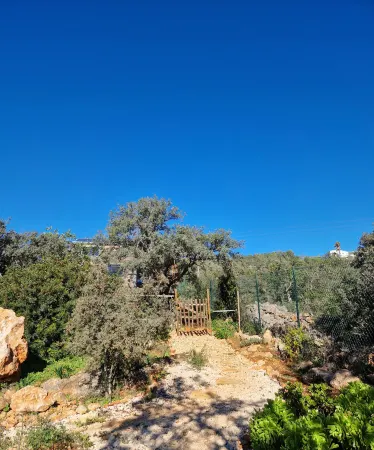 Tiny House Loule Algarve