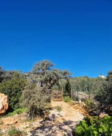 Tiny House Loule Algarve Hotels in Sao Clemente