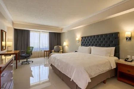 Holiday Inn Tuxtla Gutierrez