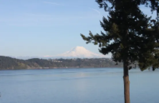 GIG Harbor- Secluded Apartment with Million Dollar View.  10-Minute Walk to Town