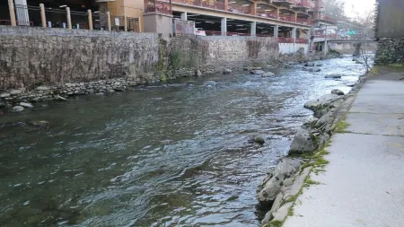 Cottage located on the river in Downtown Gatlinburg, Tn