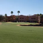 FUN IN THE SUN