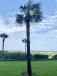 ❤️ Gorgeous, Oceanfront, Ground Floor Condo @ Amelia Surf & Racquet!