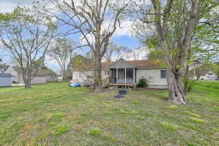 Deal Island Bay Cottage