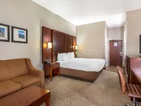 Comfort Inn & Suites Conway Hotels in Faulkner County