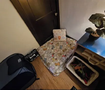 Charming 2-bedroom, cozy bungalow with sunroom in fabulous St. Louis with WiFi Отели рядом с достопримечательностью «Юго-Запад Сити Дог Парк»