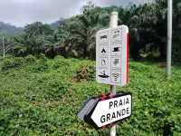 Campismo Praia Grande Hotels in Кауї