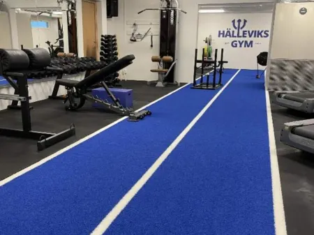 Luxury 4-Star Holiday Home in Sölvesborg